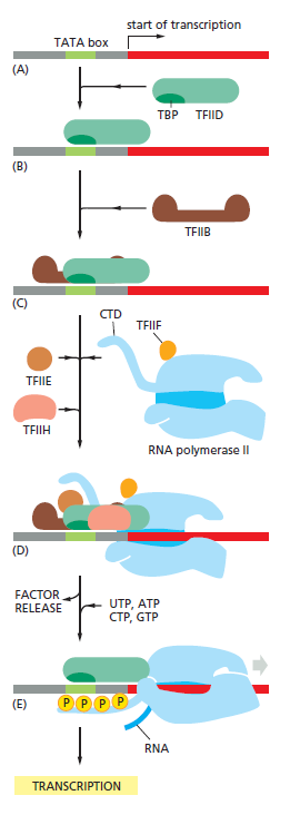 Figure 6-15.png